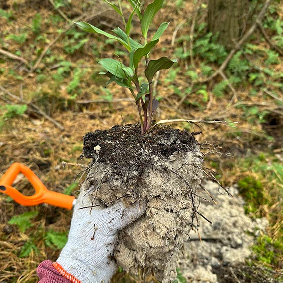 Realne dzia�ania na rzecz ochrony �rodowiska