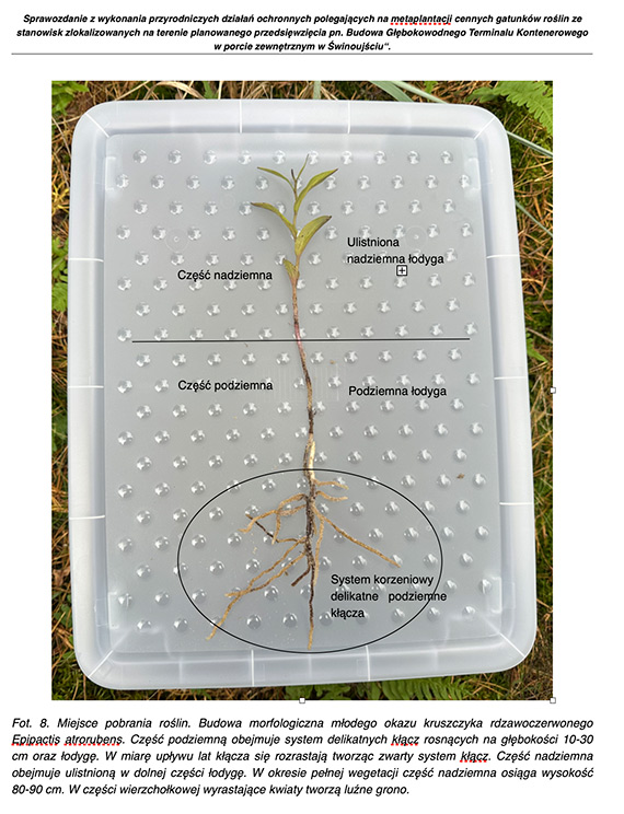 Realne dzia�ania na rzecz ochrony �rodowiska