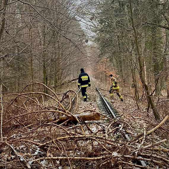 Poszukiwania zaginionego mieszka�ca Golczewa. Dzia�ania przerwano po zmroku