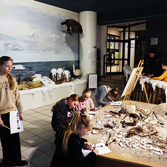 Ferie zimowe 2026 w Miejskiej Bibliotece Publicznej w Mi�dzyzdrojach