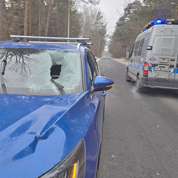 Tafla lodu spad�a na przedni� szyb� samochodu - kieruj�cy ukarany wysokim mandatem