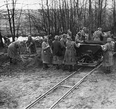 Powiat: Szukaj robotnikw przymusowych z lat 1939 -1950