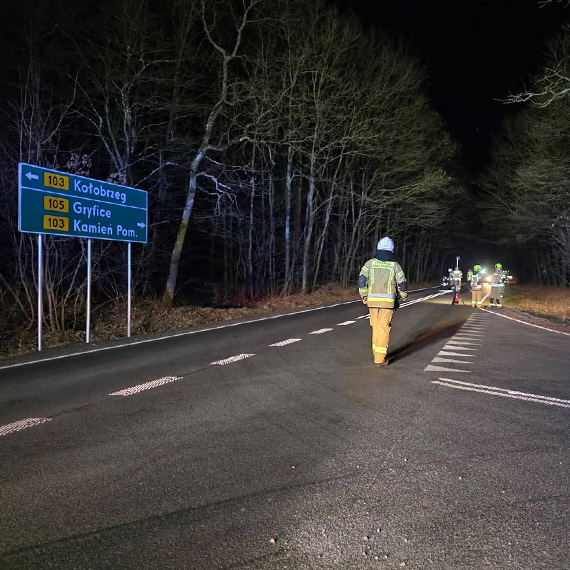 Stra�acy o�wietlali miejsce wypadku na DW 103. Wieczorna akcja przy skrzy�owaniu �wierzno – Gostyniec
