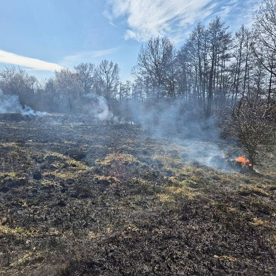 Po�ar traw w Zag�rzu. Stra�acy w akcji, ogie� szybko si� rozprzestrzenia�