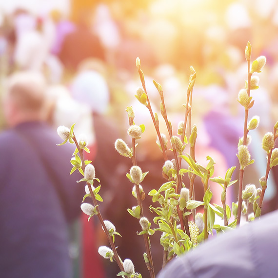 Niedziela Palmowa 2026. Gdzie i o kt�rej procesje