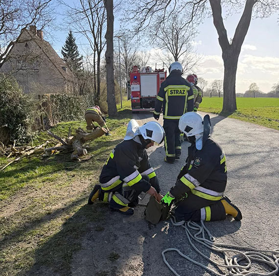 Drzewo spad�o na dom w Jarszewie. Interweniowali stra�acy