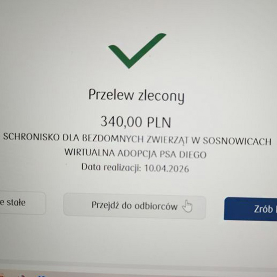 Wirtualna adopcja psa Diego