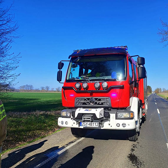 Drzewo na drodze w Kale�. Interweniowa�y dwa zast�py OSP