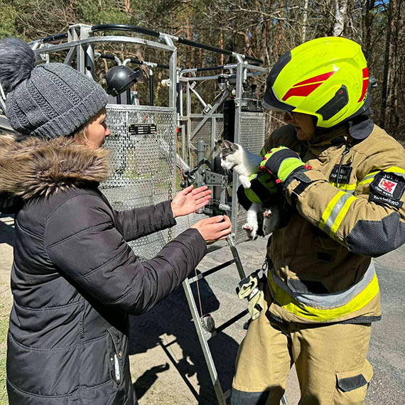 Stra�acy ruszyli na ratunek kotu. Nietypowa akcja OSP Ko�czewo zako�czona sukcesem