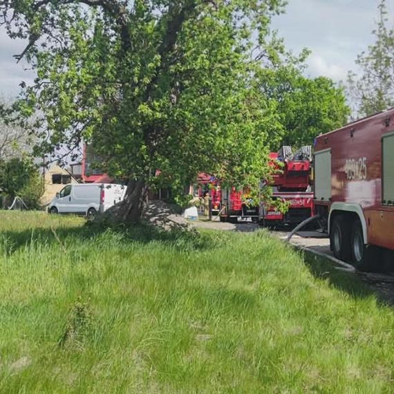 Po�ar warsztatu w Dusinie. Na miejscu stra�acy z kilku jednostek