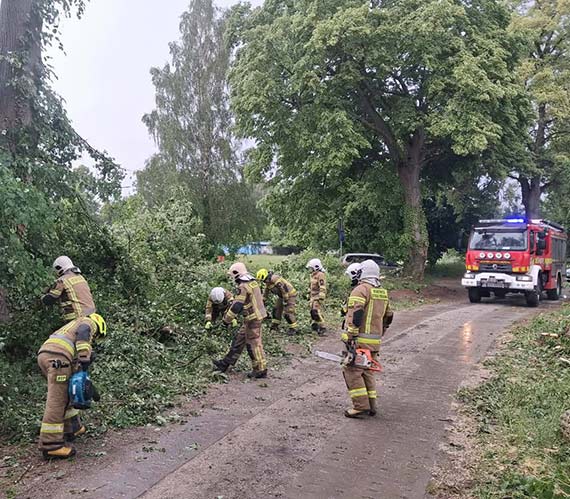  P�kni�ty konar zawis� nad drog�. Interweniowali stra�acy z Ko�czewa