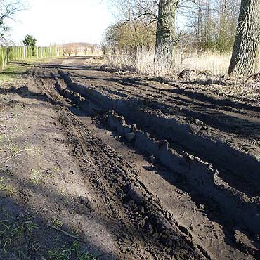 Chrzszczewo: Ograniczenie nie dla wszystkich