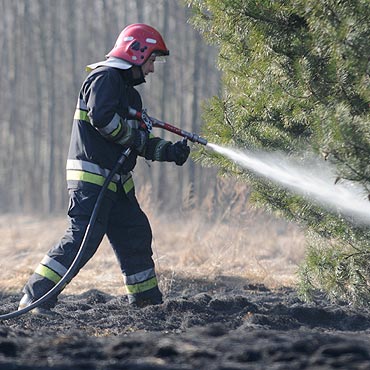 Region: 5 tys. z grzywny za wypalanie traw