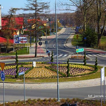 Dziwnw: Tysice nowych rolin na ulicach