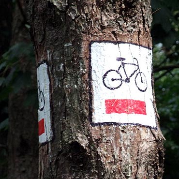 Golczewo: Tajemnice codziennoci na rowerowym rajdzie