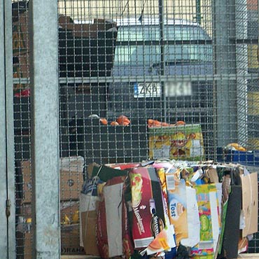 Wolin: Supermarkety wyrzucaj jedzenie do mietnika