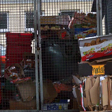 Wolin: Supermarkety wyrzucaj jedzenie do mietnika