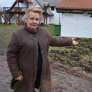 Terroryzuj mnie dziki. Mam dosy!