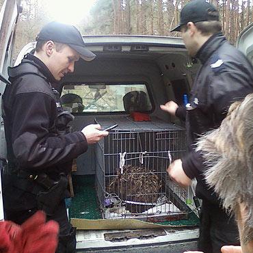 Policjanci pomagają nie tylko ludziom. Ratowali bielika