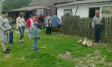 Dzieci z Ostromic w gospodarstwie rolnym w Skoszewie