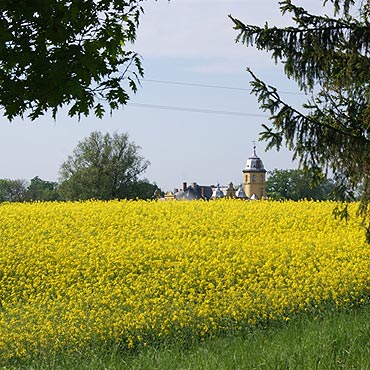 Wyniki konkursu fotograficznego „Maj w Gminie Świerzno”