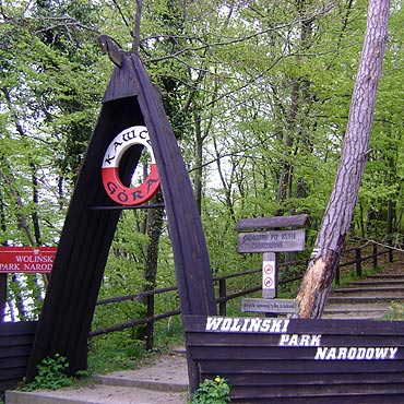Warsztaty edukacyjne w Woliskim Parku Narodowym