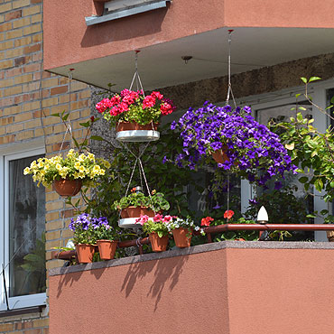 Pochwal si najadniejszym balkonem lub ogrodem