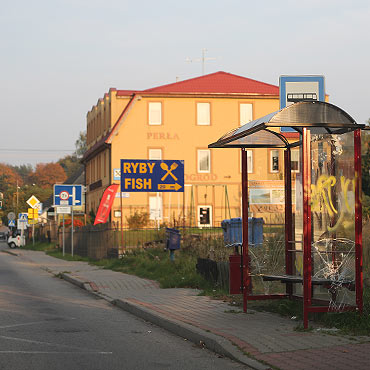 Bezmylni wandale zdewastowali przystanek