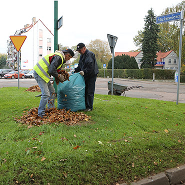 Sprztaj licie w Kamieniu Pomorskim