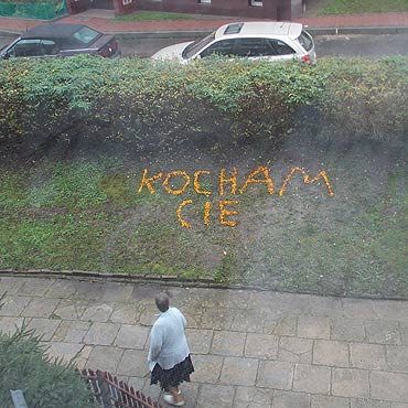 Niezwyky wyraz mioci 