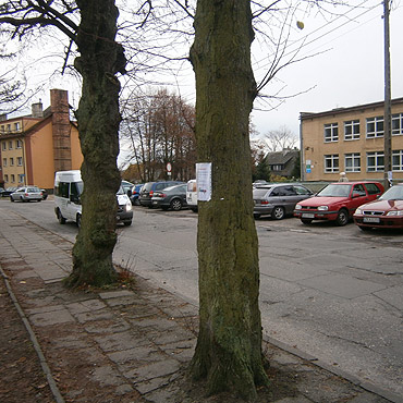 W Kamieniu Pomorskim wieszaj ogoszenia gdzie popadnie