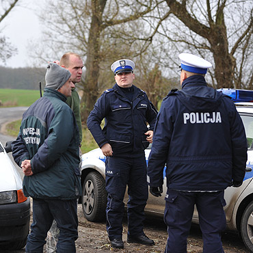 Nie wiadomo kiedy bd odawia osia ponownie. Sposzone zwierz ucieko na pobliskie bagna.