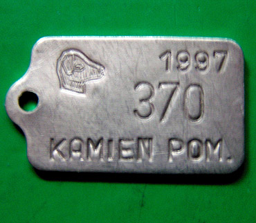 Czy i jaki powinien być podatek od posiadania psa