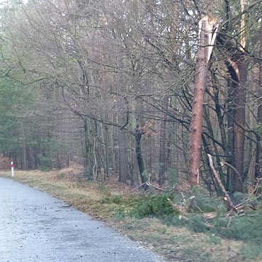 Do ponad 60 zwikszya si liczba interwencji straakw w powiecie kamieskim