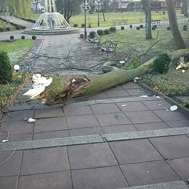 Powalone drzewa w Midzyzdrojach!