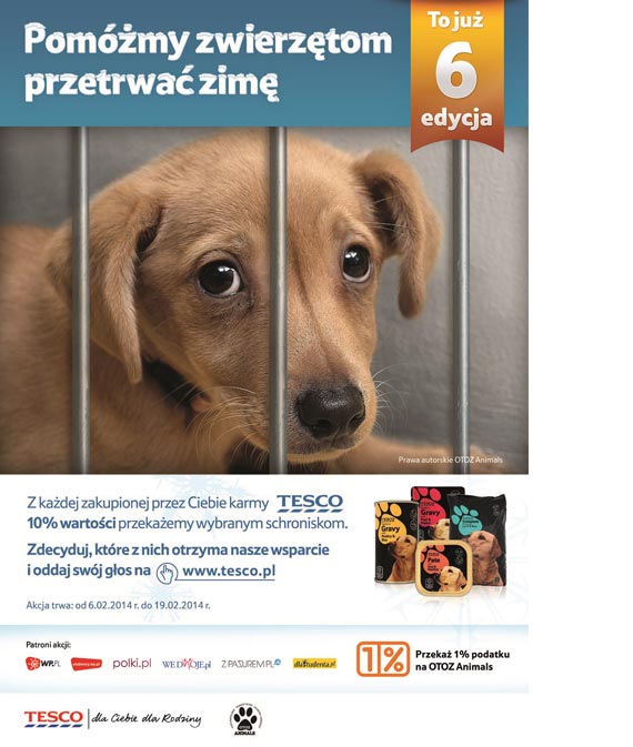 Pom zwierztom z wojewdztwa zachodniopomorskiego przetrwa zim!