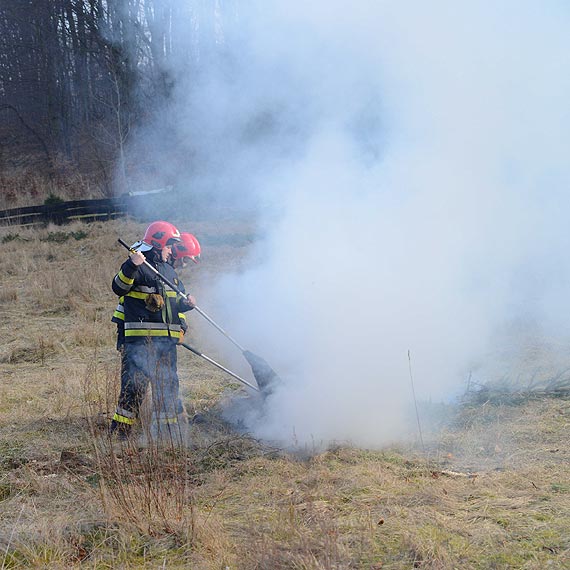 Poar mieci nad jeziorem Turkusowym.Wszystko przez bezmylno