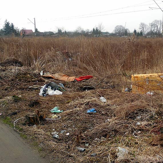 Czytelnik zwrci uwag na wysypisko mieci: "To jest skandal"