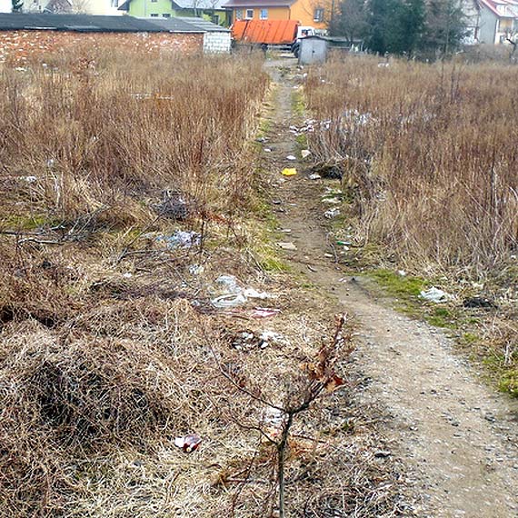 Czytelnik zwrci uwag na wysypisko mieci: "To jest skandal"